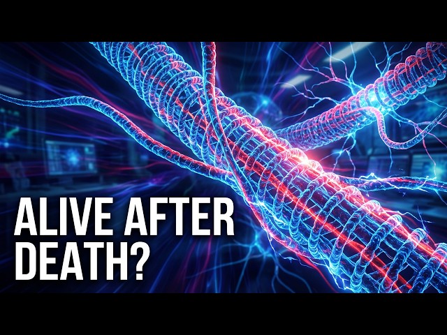 Consciousness After Death? New Quantum Evidence Emerges