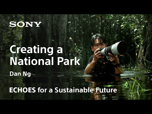 ECHOES | Dan Ng | Sony