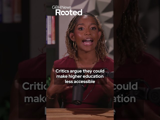 Are Black borrowers being hit hardest by the student loan overhaul?