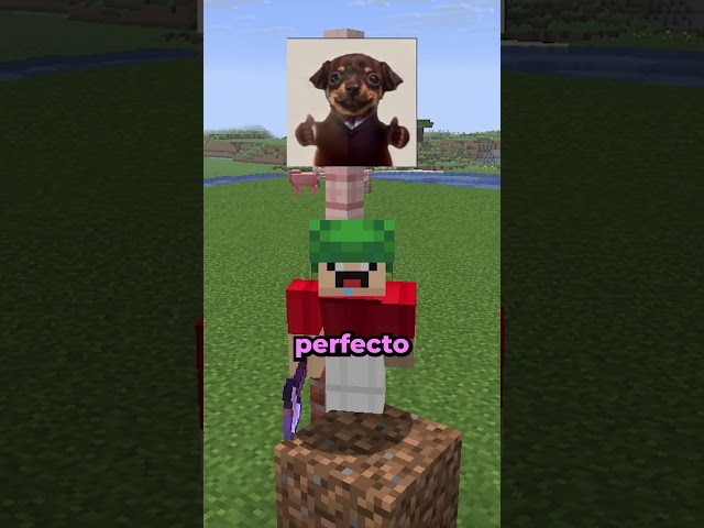 how to make a parrot cage in minecraft #minecraft