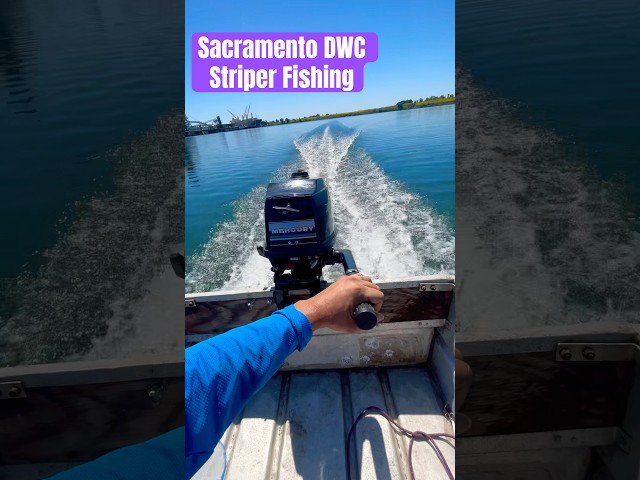 Testing this jon boat and striper fishing Sacramento Shipping Channel #sacramento#fishing#boat