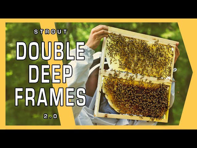 Strout Double Deep Frames 2.0 Overview and Construction