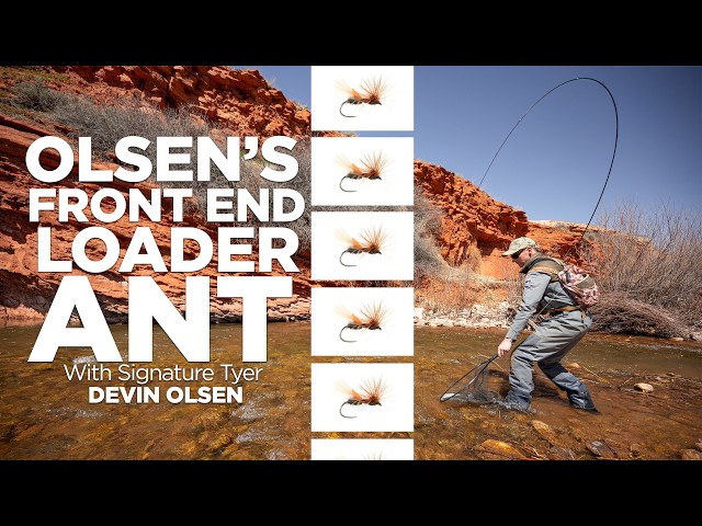 Ant Fly Pattern: Signature Tyer Devin Olsen's Front End Loader Ant