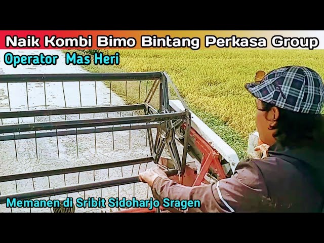 Naik Kombi Bimo Bintang Perkasa Group Operator Mas Heri ~ Memanen di Sribit Sidoharjo Sragen