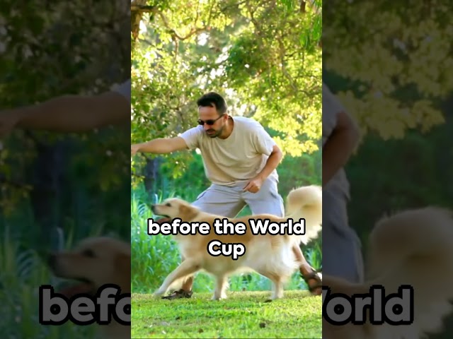 The Great World Cup Heist: A Dog’s Tale #shorts #soccer #trivia