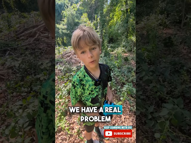 😱We have a problem! Invasive species! #educational #invasivespecies #ecosystem #scienceforkids