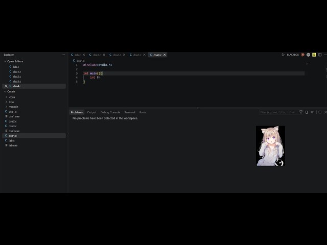 Grinding DSA on C language