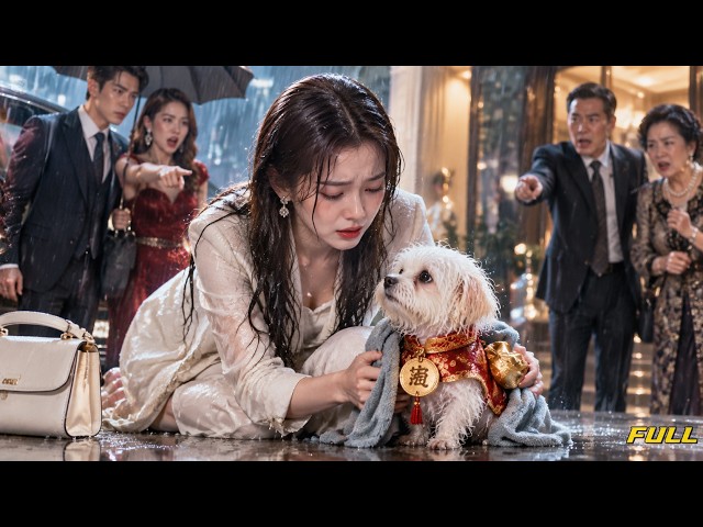 【Full Episodes】 They threw her out after taking everything she built until the stray dog she fed