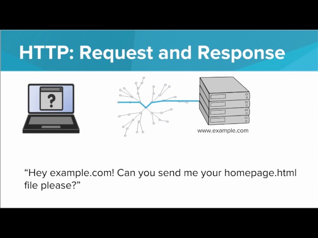 Packets and Protocols
