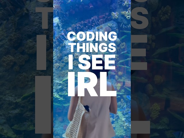Coding things I see in real life. Jellyfish 🪼