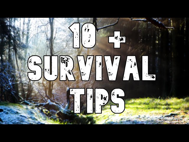 10+ Survival & Bushcraft Tips and Tricks