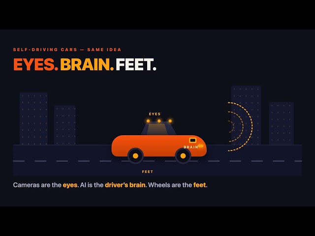 AI vs Robotics: What's the Difference? (Explained Simply)