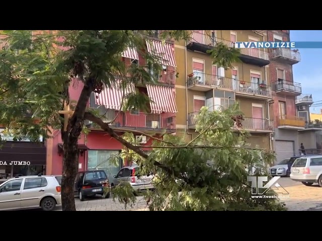 Adrano. Disruption and damage from a violent storm