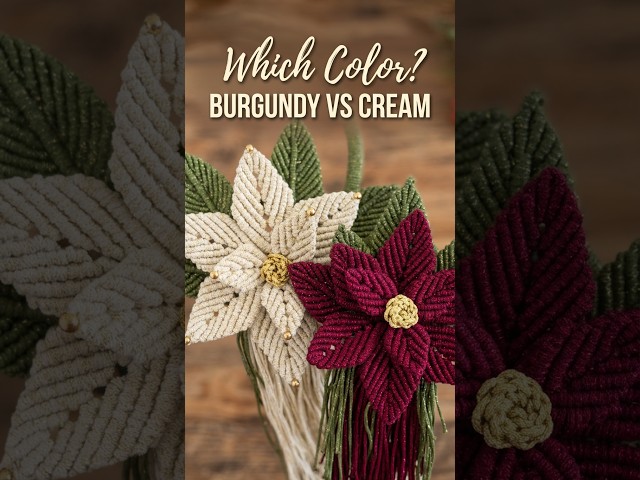 Burgundy or Cream? ❤️🤍 Handmade Macramé Poinsettias