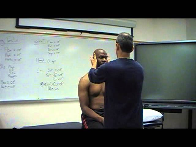 Vertebral Artery Testing