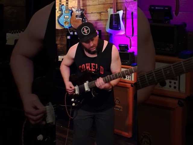 Trashy Bass VI (Is ALOT of fun)