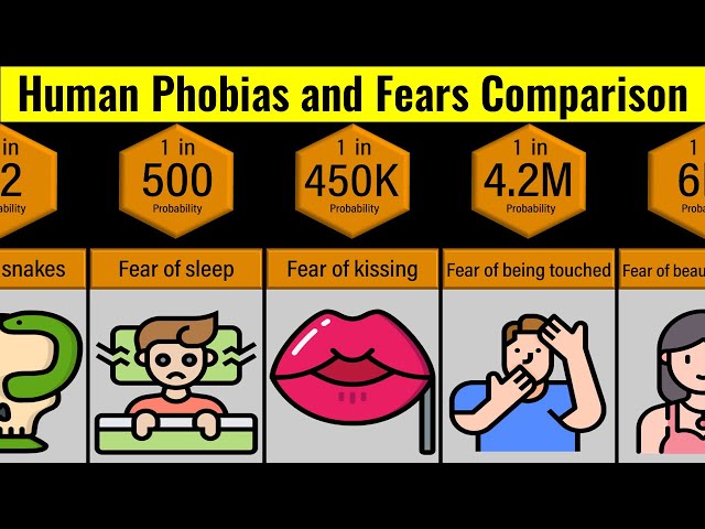 Probability Comparison: Phobia and Fears Comparison