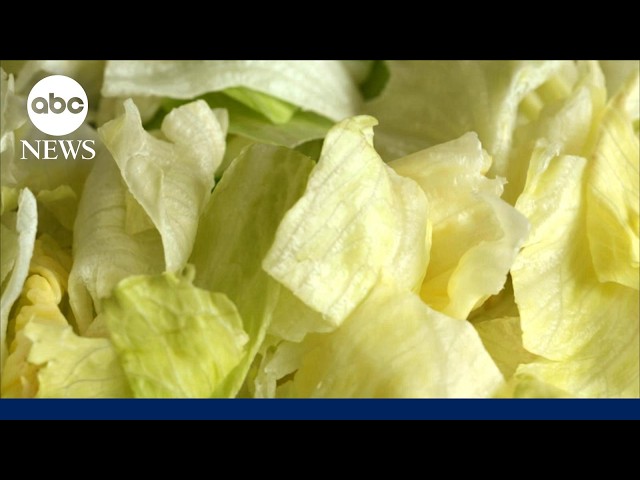 Iceberg lettuce sample from Taylor Farms tests positive for cyclosporiasis parasite