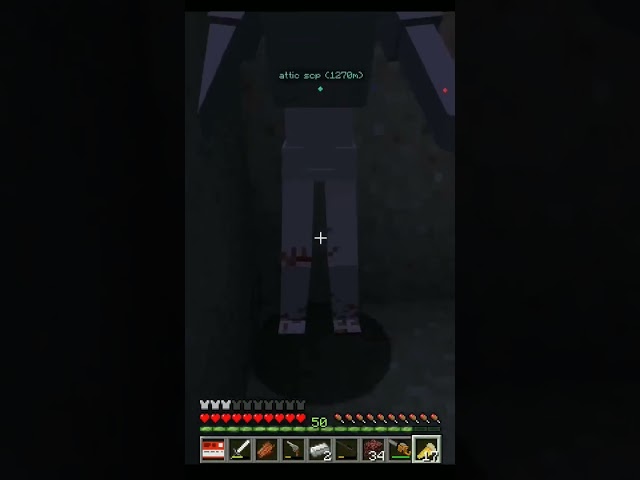 SCP 096 AND CHAOS