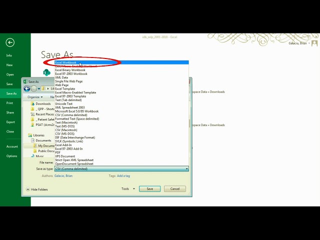 Datasets and Microsoft Excel