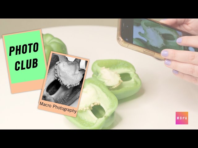 Photo Club: Macro Photography