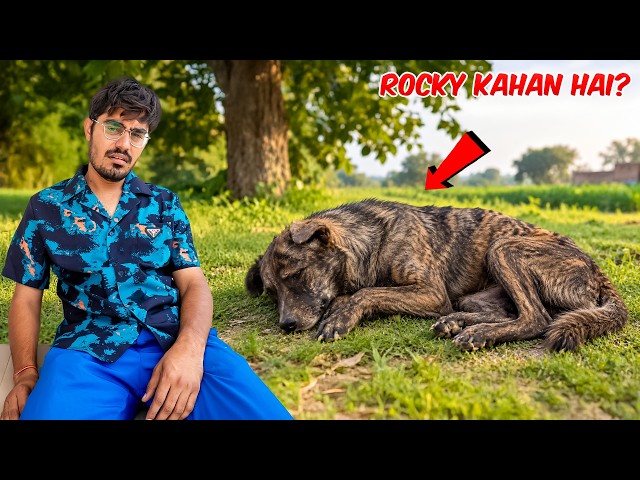 Rocky Ki Tabiyat Kharab Ho Gayi | रोकी बीमार हो गया | Medicine Deni Padi