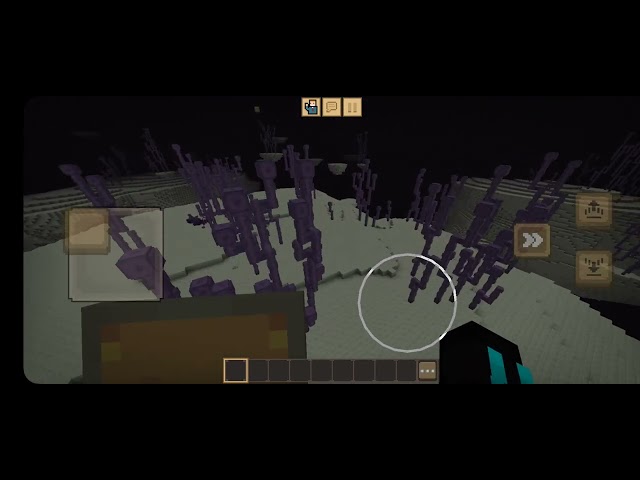 I found white enderman
