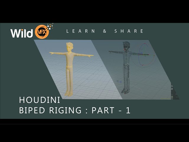 Houdini Auto Rigging Tutorial - Rigging - Part 01 - Auto rig Biped  - Wild VFX