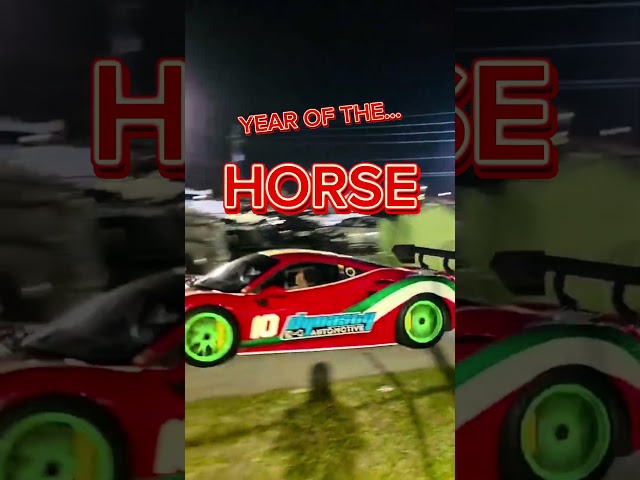 Year of the horse! 🎆