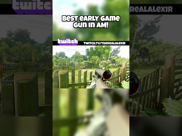 It's one of the best budget weapons!