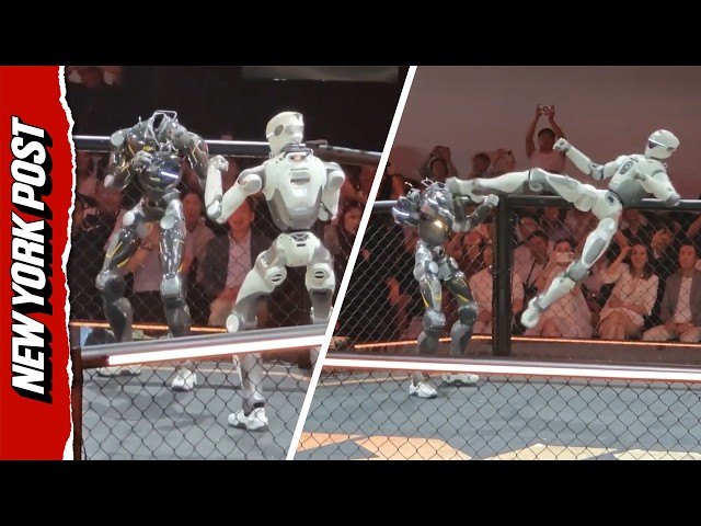 Losing a Head Doesn't Stop This Robot From Battling Another in the Ring