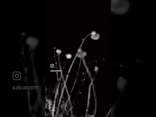 LURKER | Out now on my YouTube channel. #horror #shortfilm