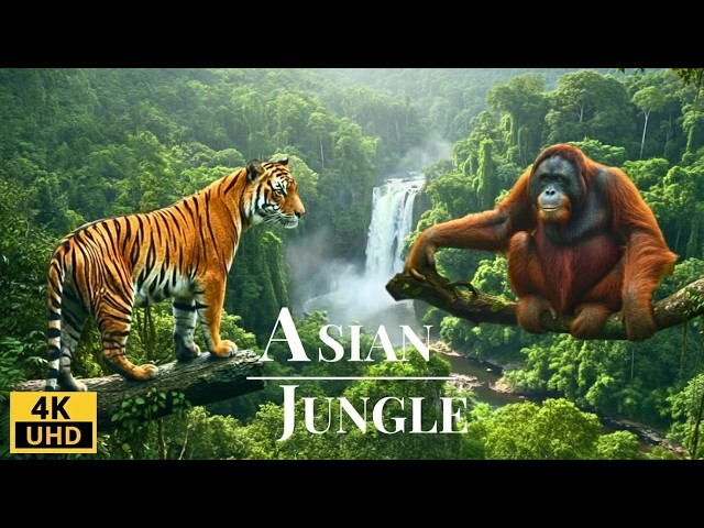 Asia’s Hidden Jungle 4K | Rare Wildlife & Exotic Birds | Wild Nature