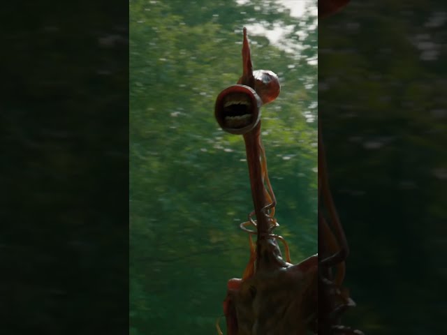 Hikers run into Siren Head