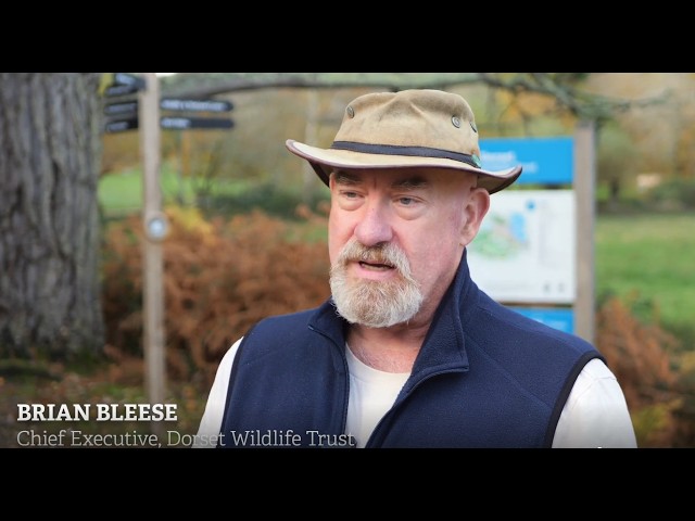Nature is good for business - supporters