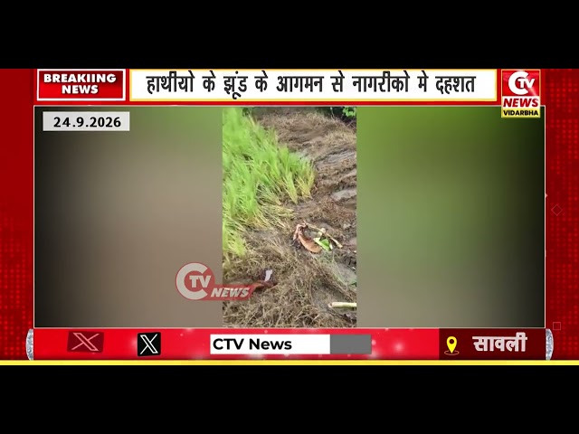 sawali | हाथीयों के झूंड के आगमन से नागरीको मे दहशत