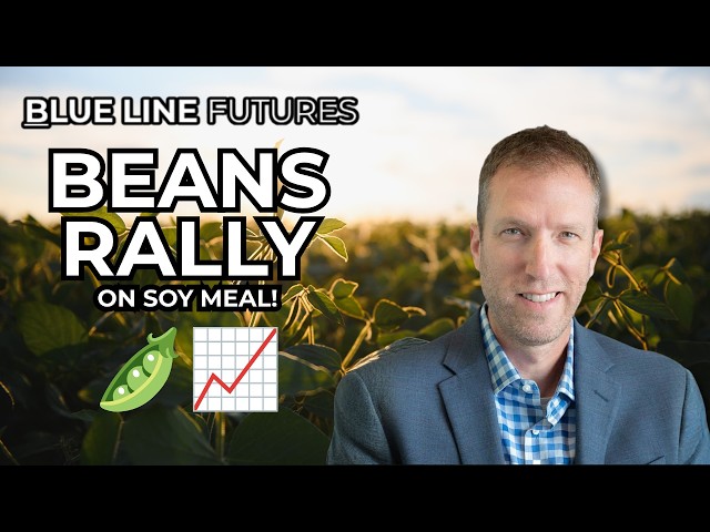 Soy Meal Explodes to Fresh Highs, Dragging Beans Along With It | Jason Gehler Ag Markets 9/15