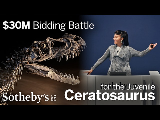 The $30 Million Bidding Battle for a Jurassic Dinosaur Fossil | Sotheby’s