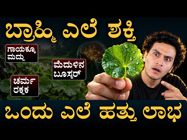 ಒತ್ತಡ, ನಿದ್ರಾಹೀನತೆಗೂ ಬ್ರಾಹ್ಮಿ ರಾಮಬಾಣ | Brahmi | Ondelaga | Masth Magaa | Amar Prasad