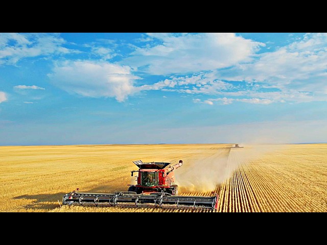 Harvest Day 11:  Incredible Drone Footage!