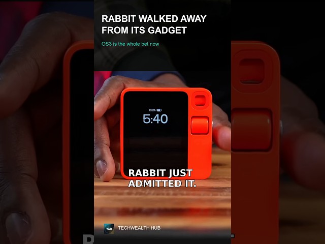 Rabbit Walked Away From Its Own Gadget