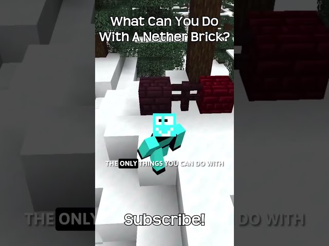 What Can You Do With A Nether Brick? In Minecraft!