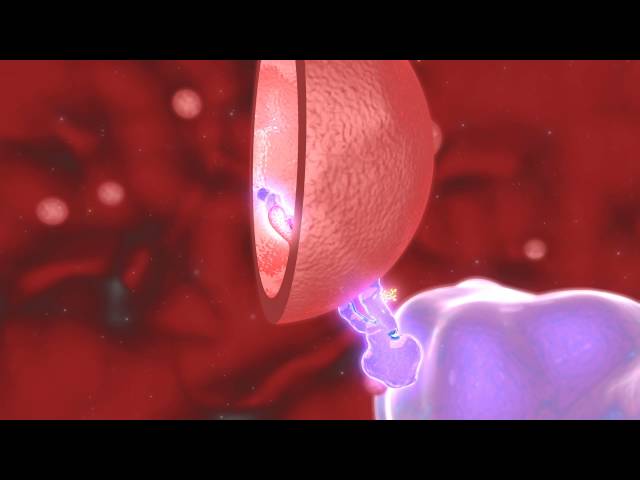 Clostridium Difficile - Drug Formulation & Delivery Institute of Pharmaceutical Sciences