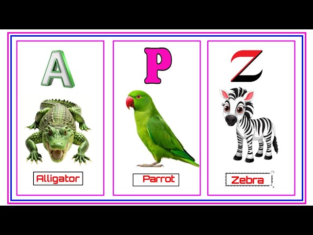 A to Z list of animals with sound and visual | "alphabet animals" | A to Z animals for kids.