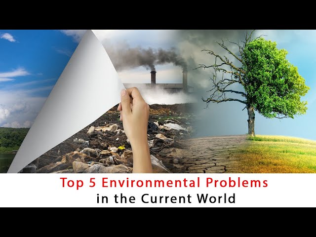 Top 5 Environmental Problems in the Current World