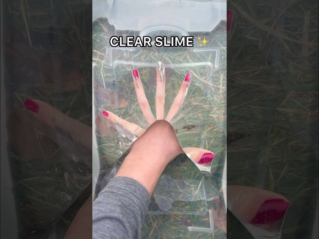 How to Make CLEAR SLIME! 😱✨ *Easy DIY Slime Recipe*