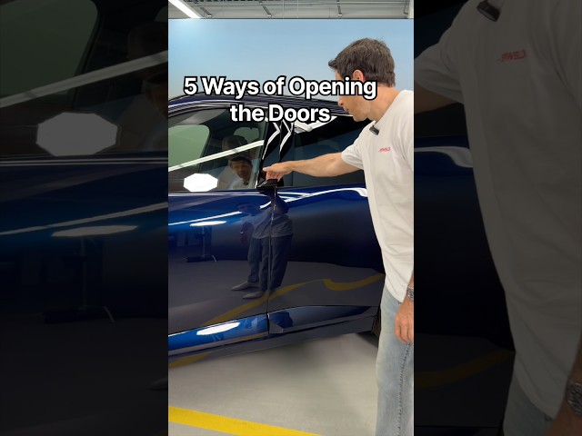 New BMW X5: How To Open The Doors