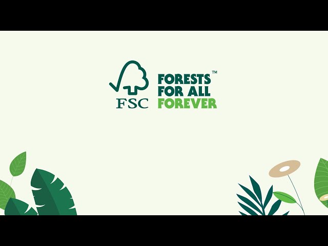 How Construction Professionals Can Ensure Responsible Management of Tropical Forests