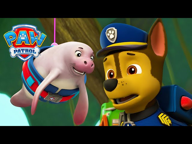 Chases Rettung der Seekühe! 🐋 - PAW Patrol Germany - Cartoons für Kinder