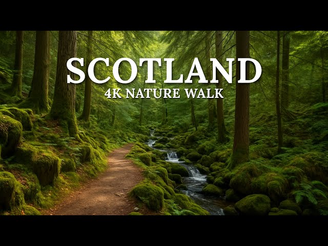 The Most Beautiful Nature Walk in Scotland l Walking Tour 4K HDR 60fps
